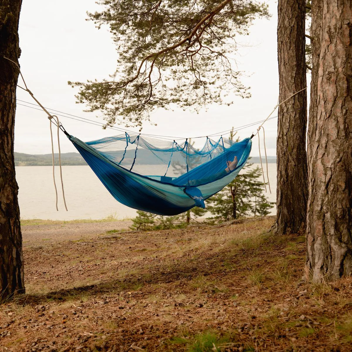 BackPacker ChillBill Hengekøye